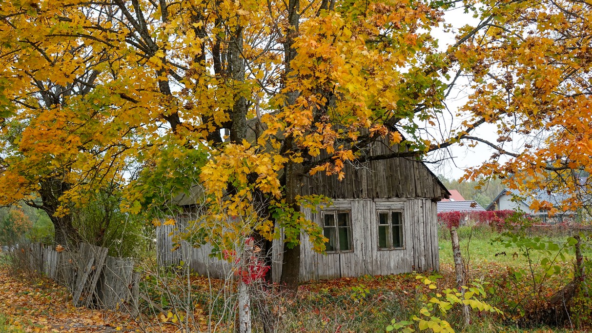 Październik w obiektywie - zdjęcie 61