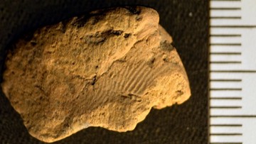 Archeolodzy odkryli odcisk palca sprzed 5 tys. lat. Chcą wiedzieć więcej o "właścicielu"