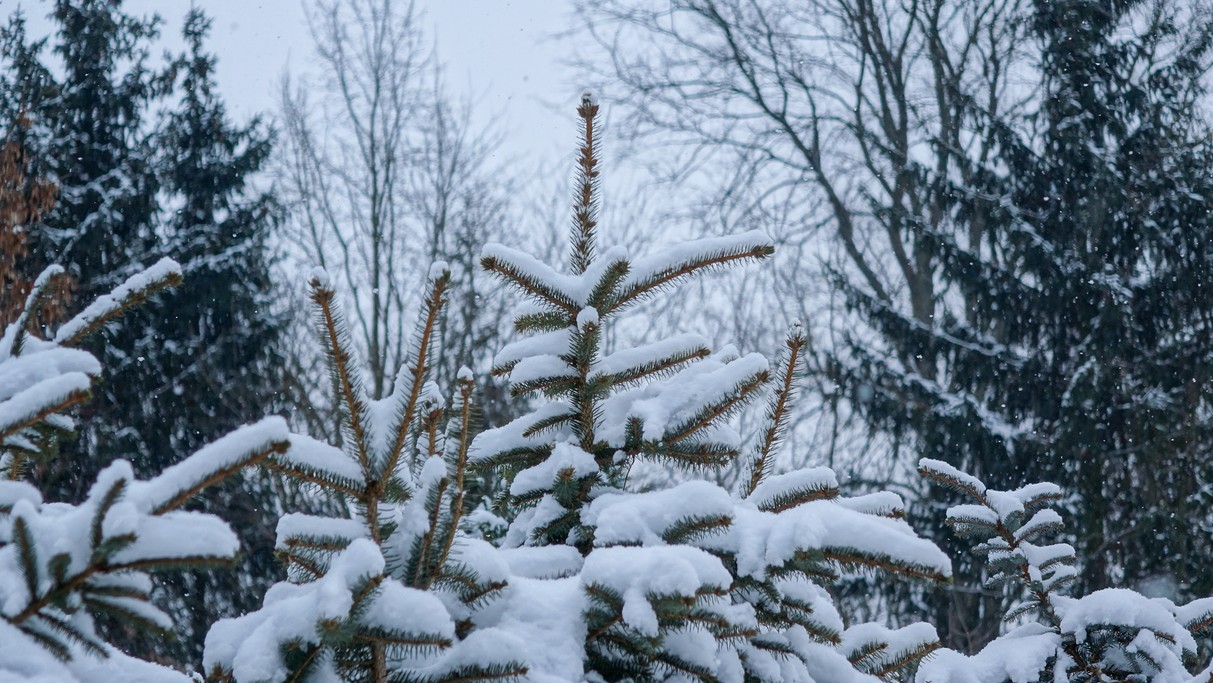 Styczeń w obiektywie - zdjęcie 46