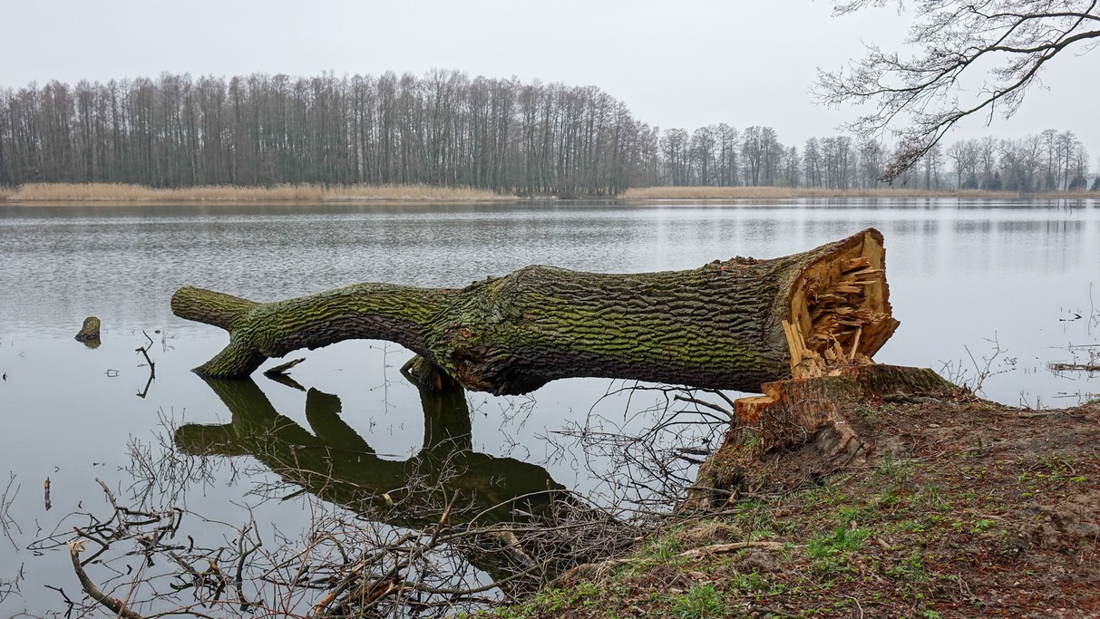 Marzec w obiektywie - zdjęcie 60