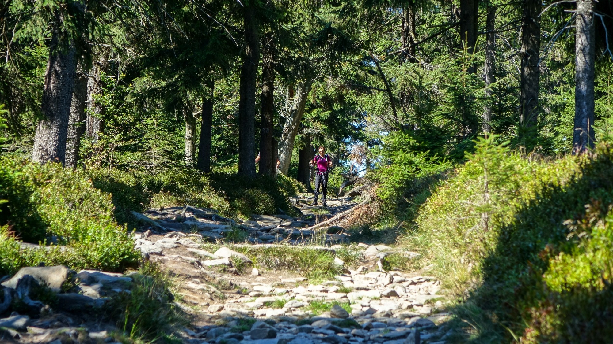 Wrzesień w obiektywie - zdjęcie 20