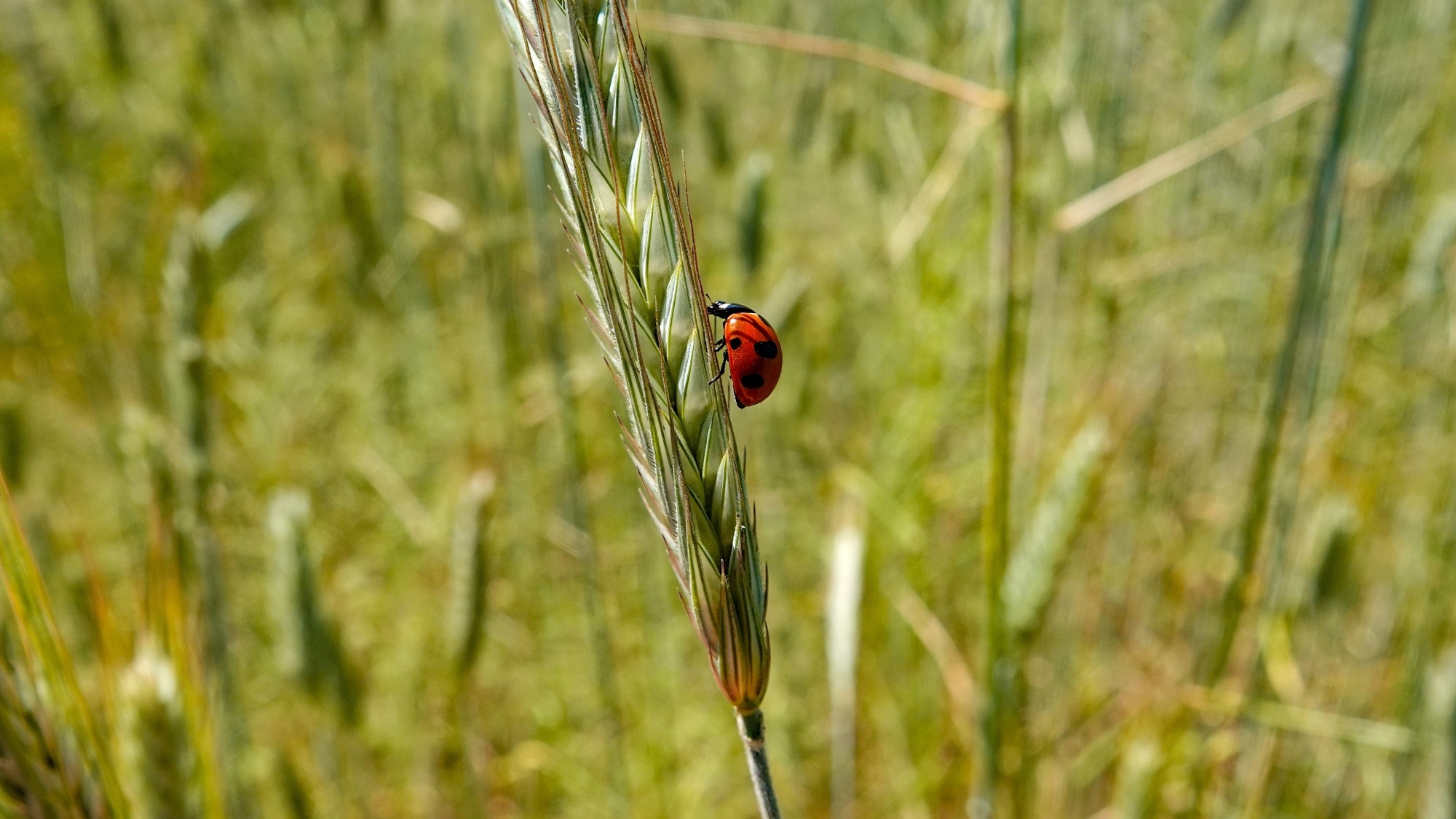 100 najpiękniejszych zdjęć 2021 roku - zdjęcie 30