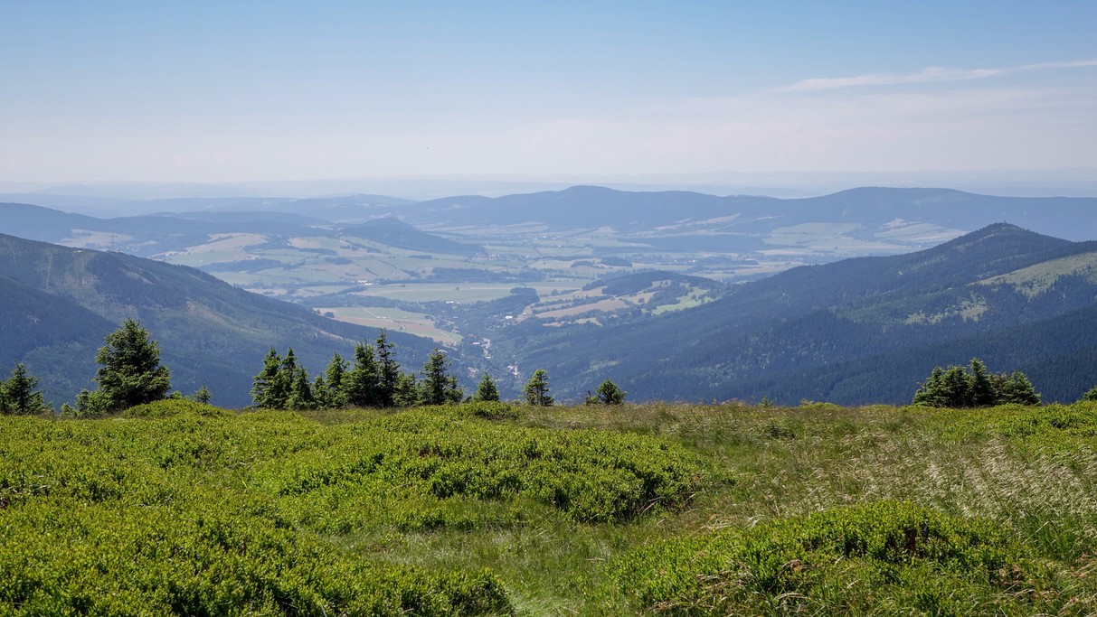 Lipiec w obiektywie - zdjęcie 7