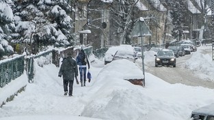 06.01.2021 09:00 Zima sparaliżowała Pomorze. W rejonie Gdańska spadło ponad 20 cm świeżego śniegu [ZDJĘCIA]