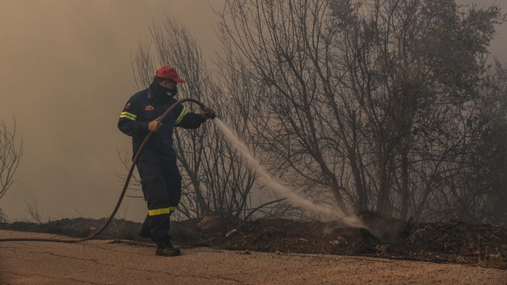 Ewakuowano dwie miejscowości na greckiej wyspie Eubea z powodu pożarów