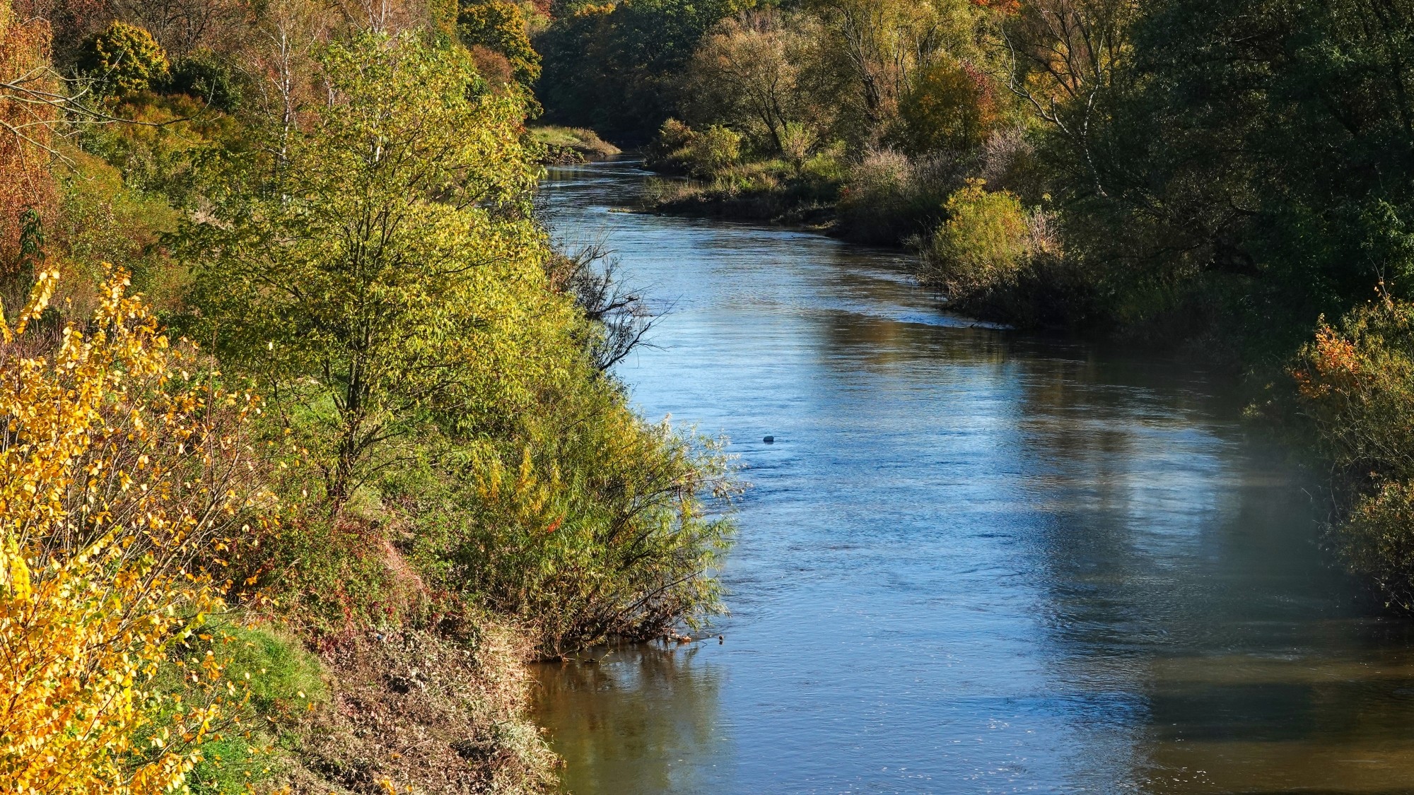 Wypoczynek nad wodą - zdjęcie 61