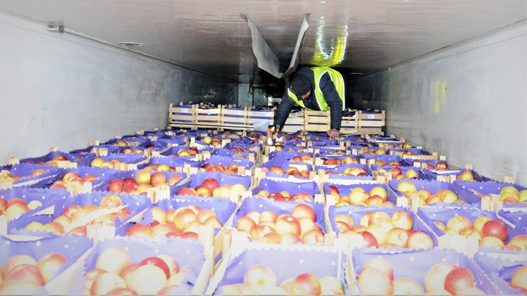Nielegalnie wjechali do Polski ukryci w transporcie jabłek. Jedli je przez cztery dni