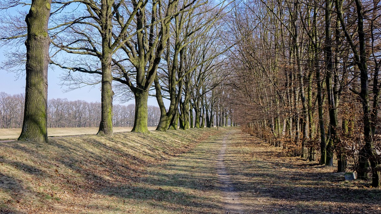 Luty w obiektywie - zdjęcie 13