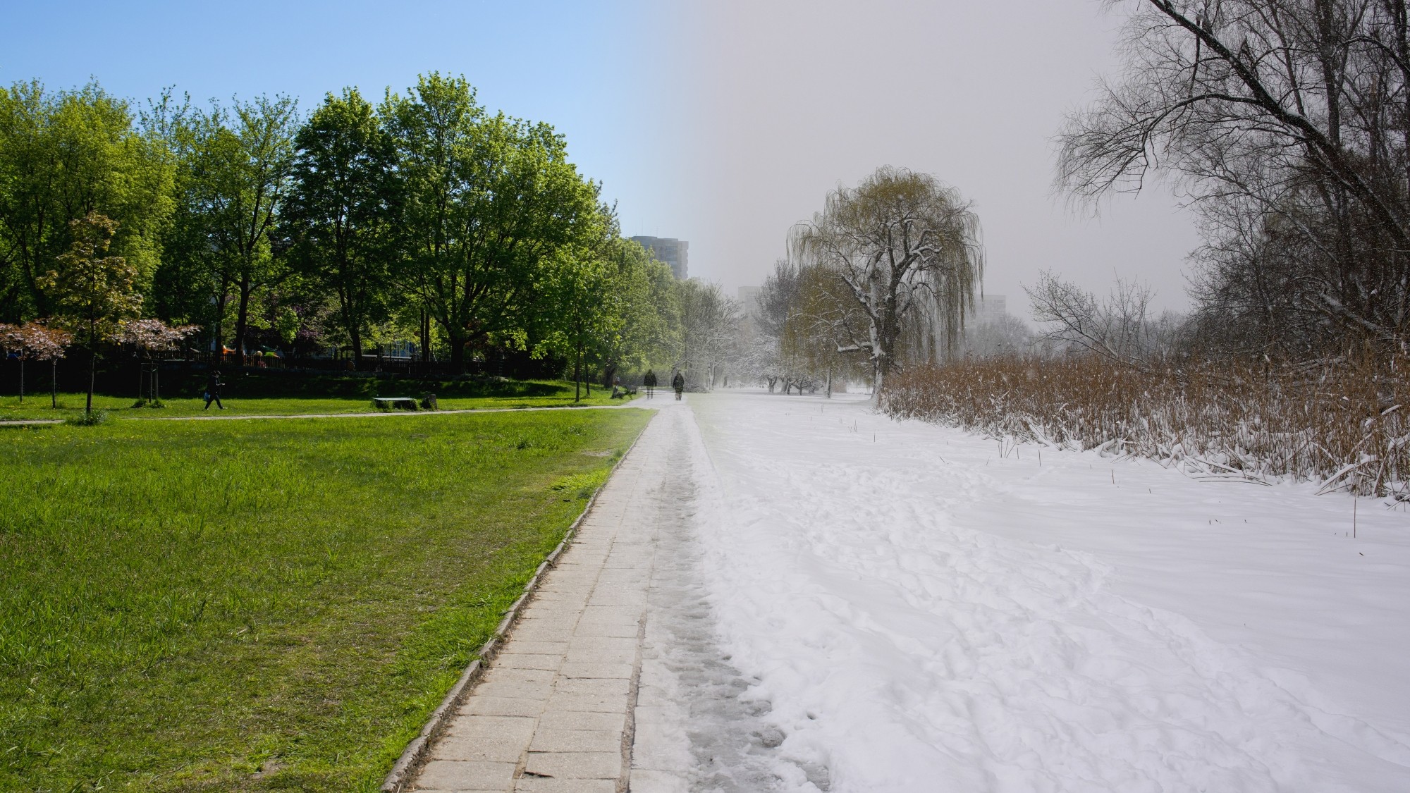 Porównanie wiosny i zimy - zdjęcie 5