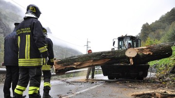 Włochy: gigantyczne straty w lasach po wichurach