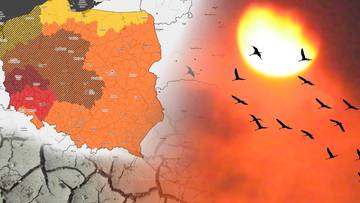 Polska czeka na intensywną falę upałów. IMGW wydał alerty