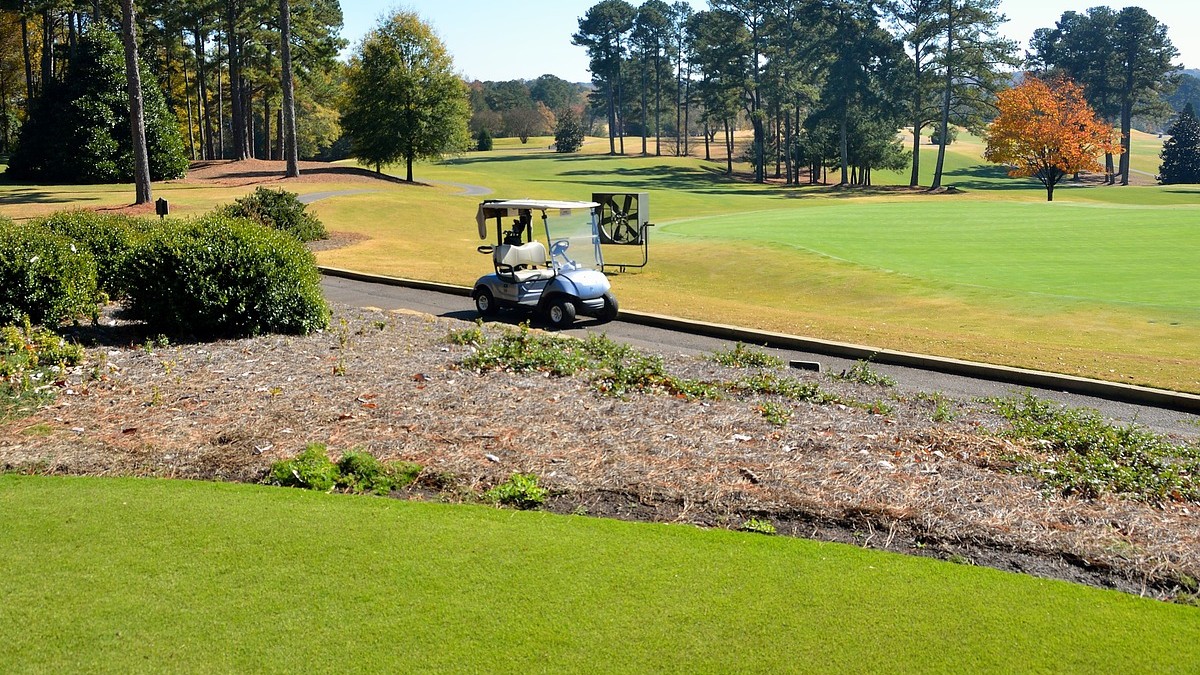 USA. Trzylatek prowadził wózek golfowy. Śmiertelnie potrącił siedmioletniego brata