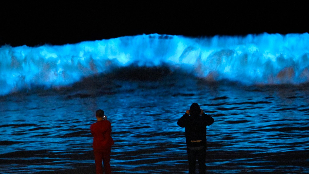 USA: Bioluminescencyjne fale. Widowiskowe zjawisko na wybrzeżu Kalifornii