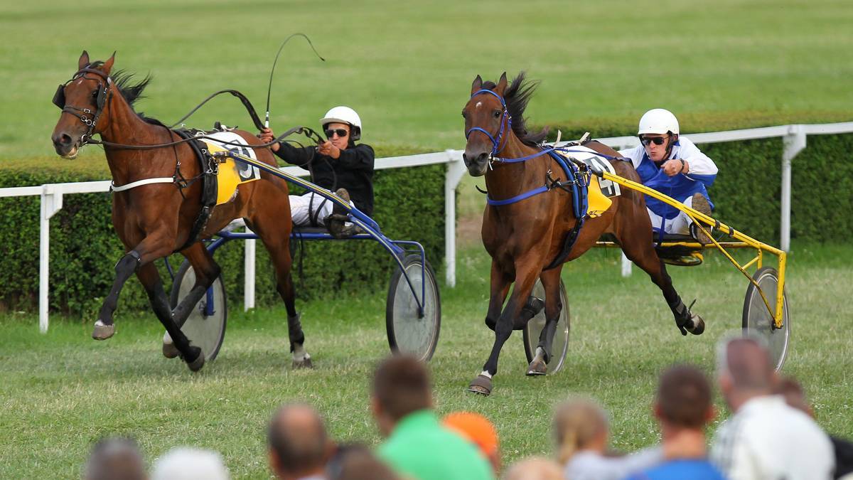 Dw&oacute;ch zawodnik&oacute;w w kaskach prowadzi konie w zaprzęgach podczas wyścigu kłusak&oacute;w na trawiastym torze.