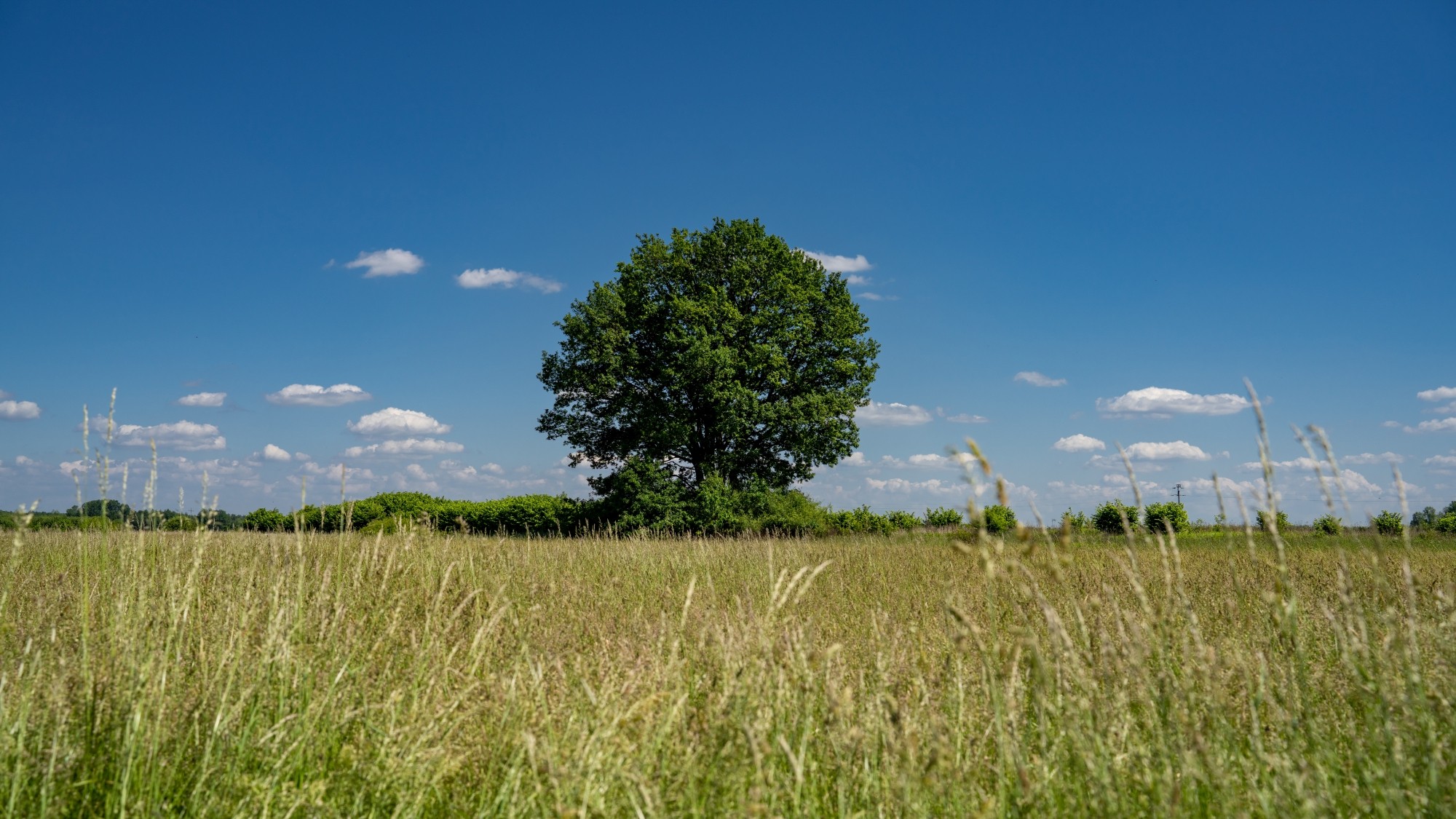 Lato na prowincji - zdjęcie 49
