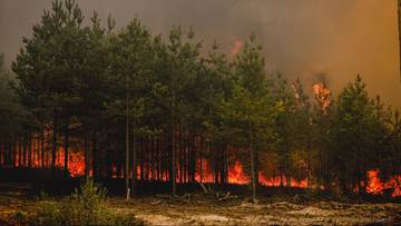 "Kluczowe najbliższe godziny". Wielki ogień na Lubelszczyźnie