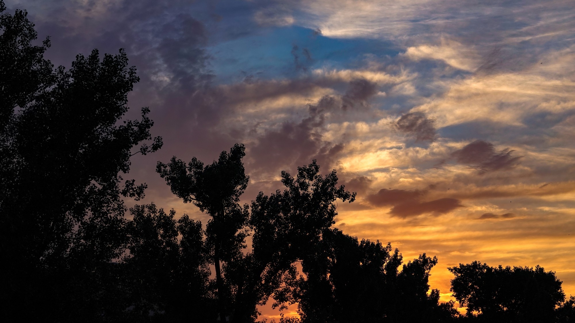 100 najpiękniejszych zdjęć 2021 roku - zdjęcie 35