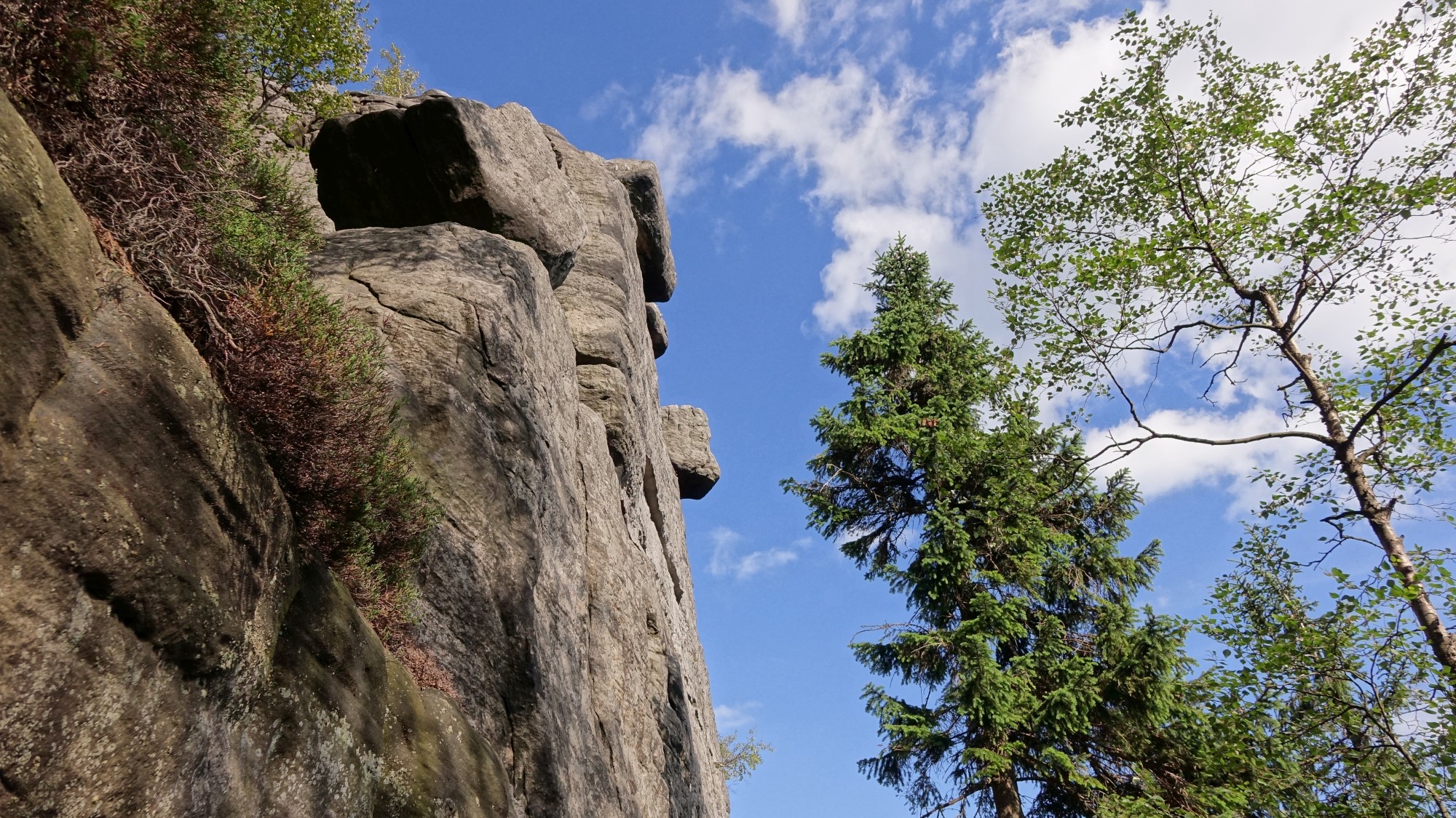 Późne lato na łonie natury - zdjęcie 7
