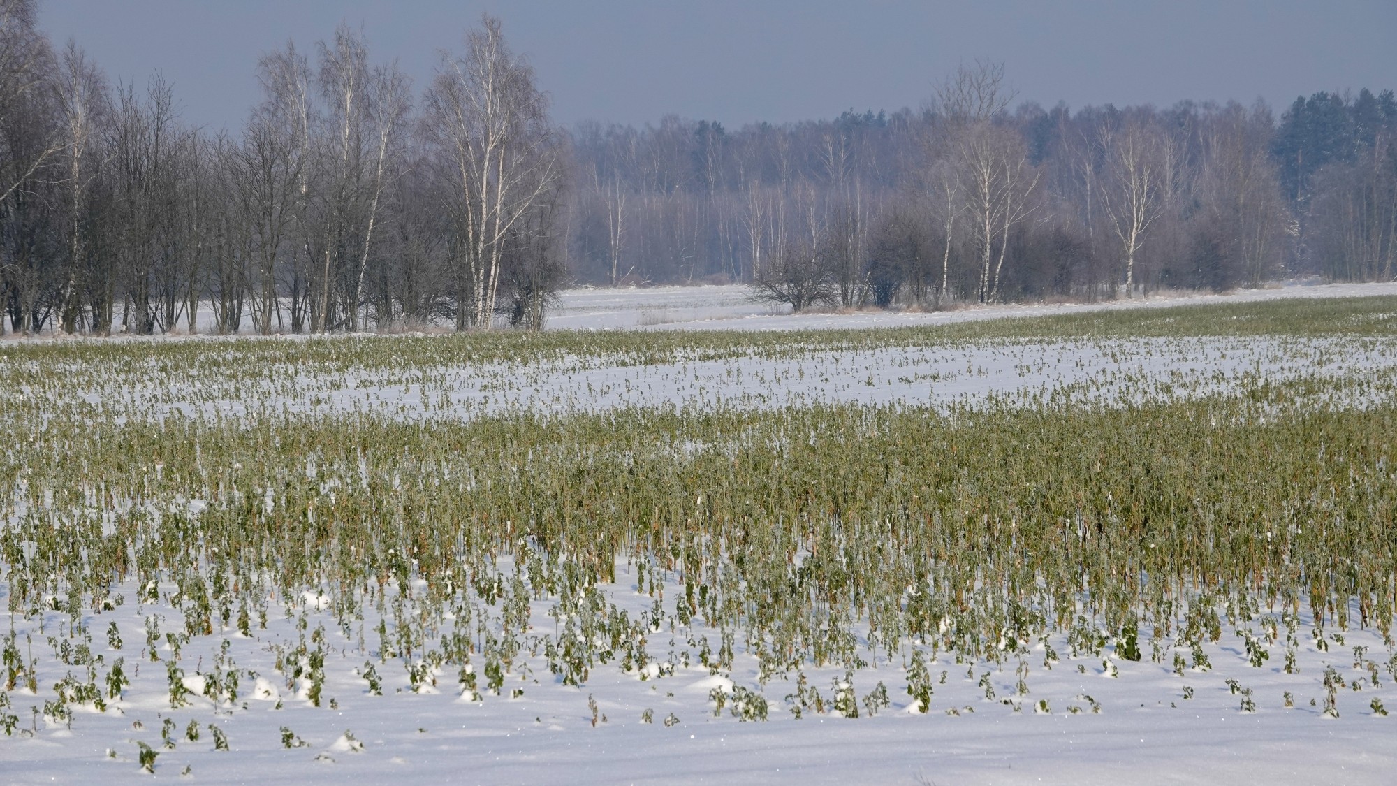 Na lodowym szlaku - zdjęcie 8