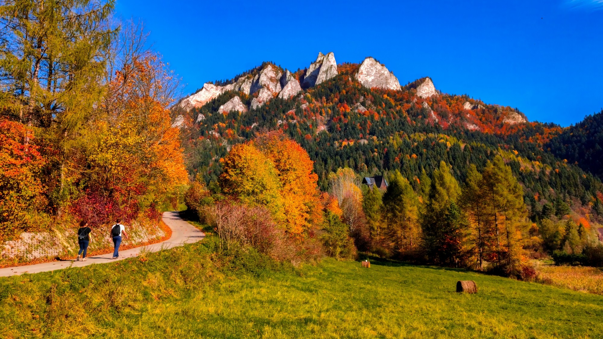 Polska jesienią - zdjęcie 25