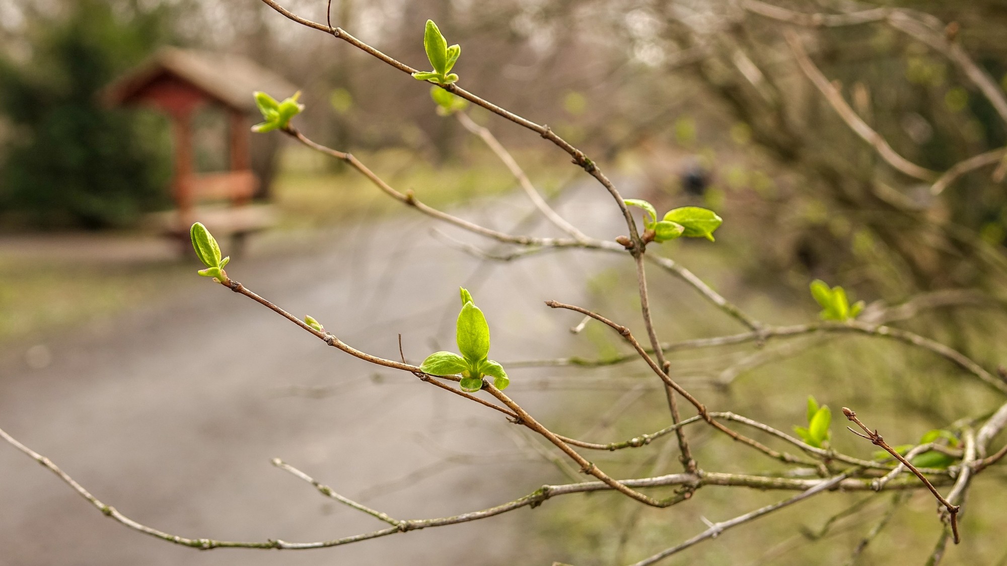 Wiosenna pobudka - zdjęcie 8