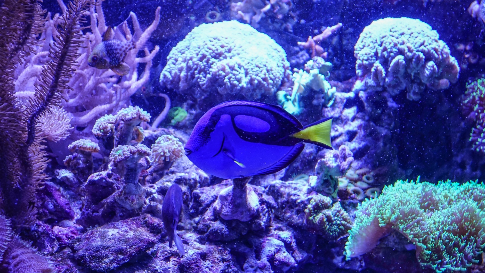 Z kamerą wśród zwierząt - zdjęcie 40