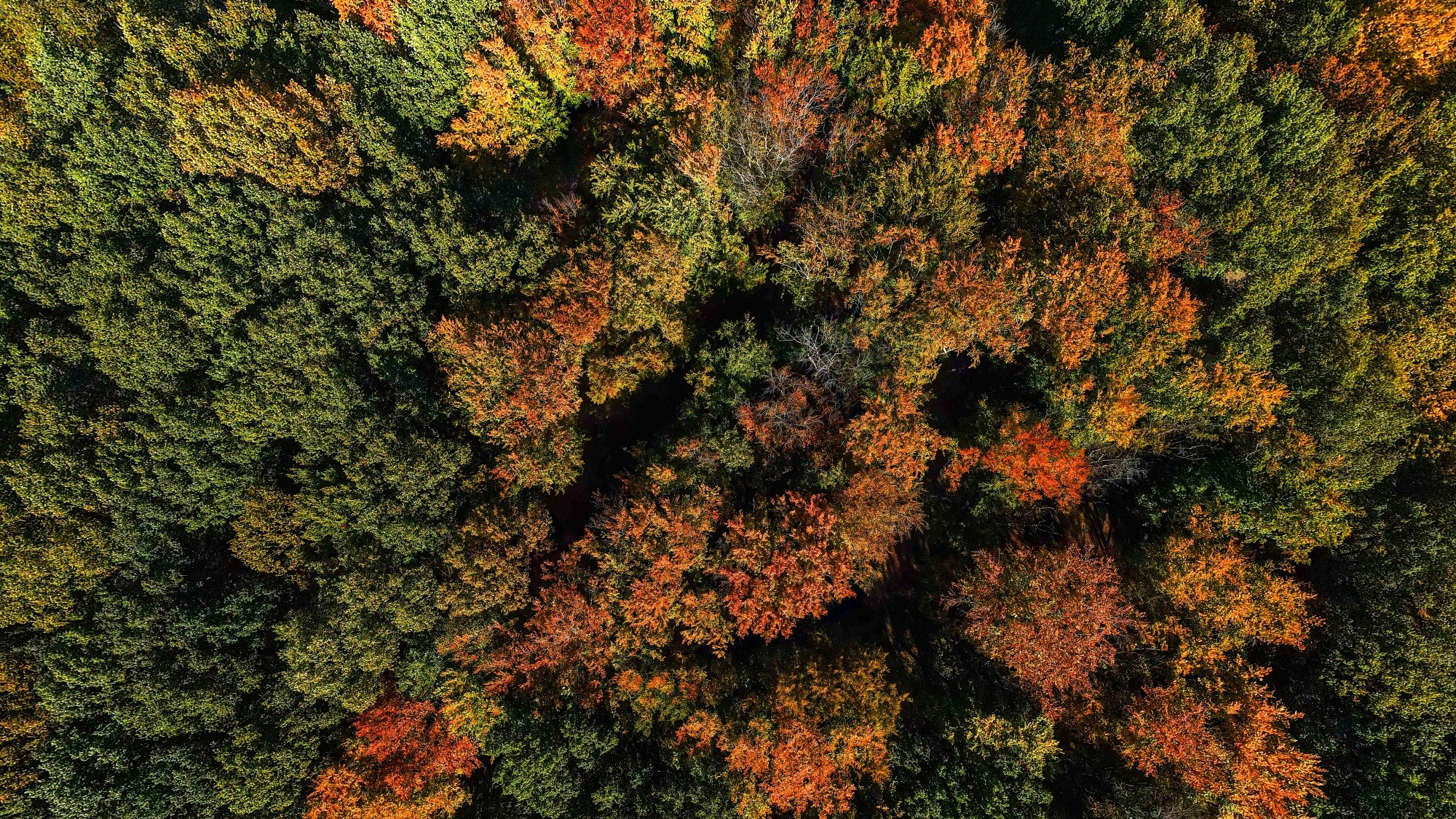 Jesień w Polsce z lotu ptaka - zdjęcie 21