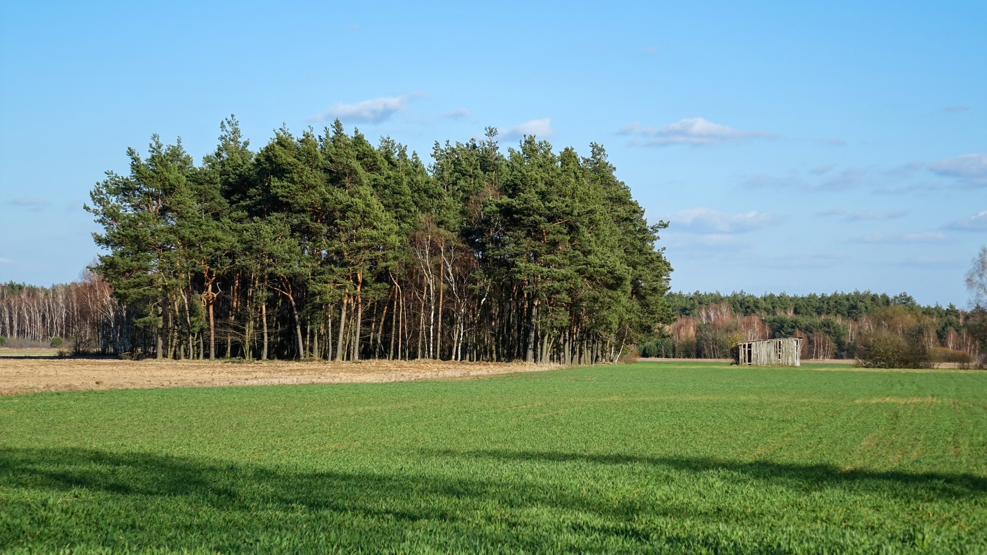 Marzec w obiektywie - zdjęcie 49