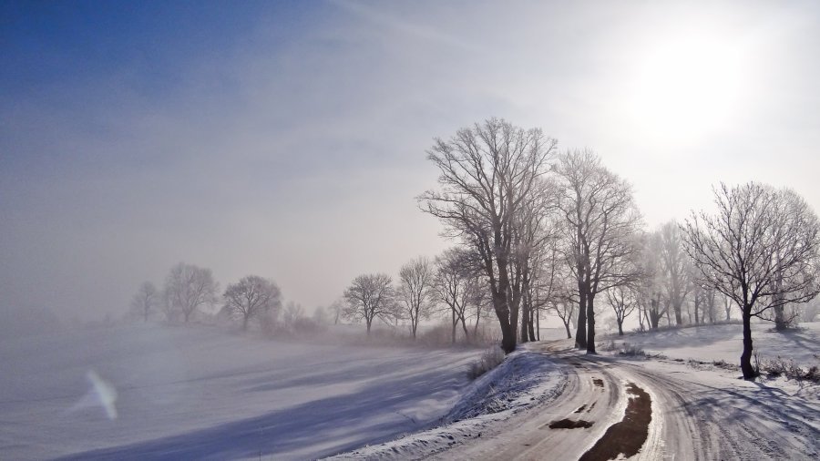 08.12.2017 10:00 Jaki będzie grudzień? Zimowy, a może jesienny?