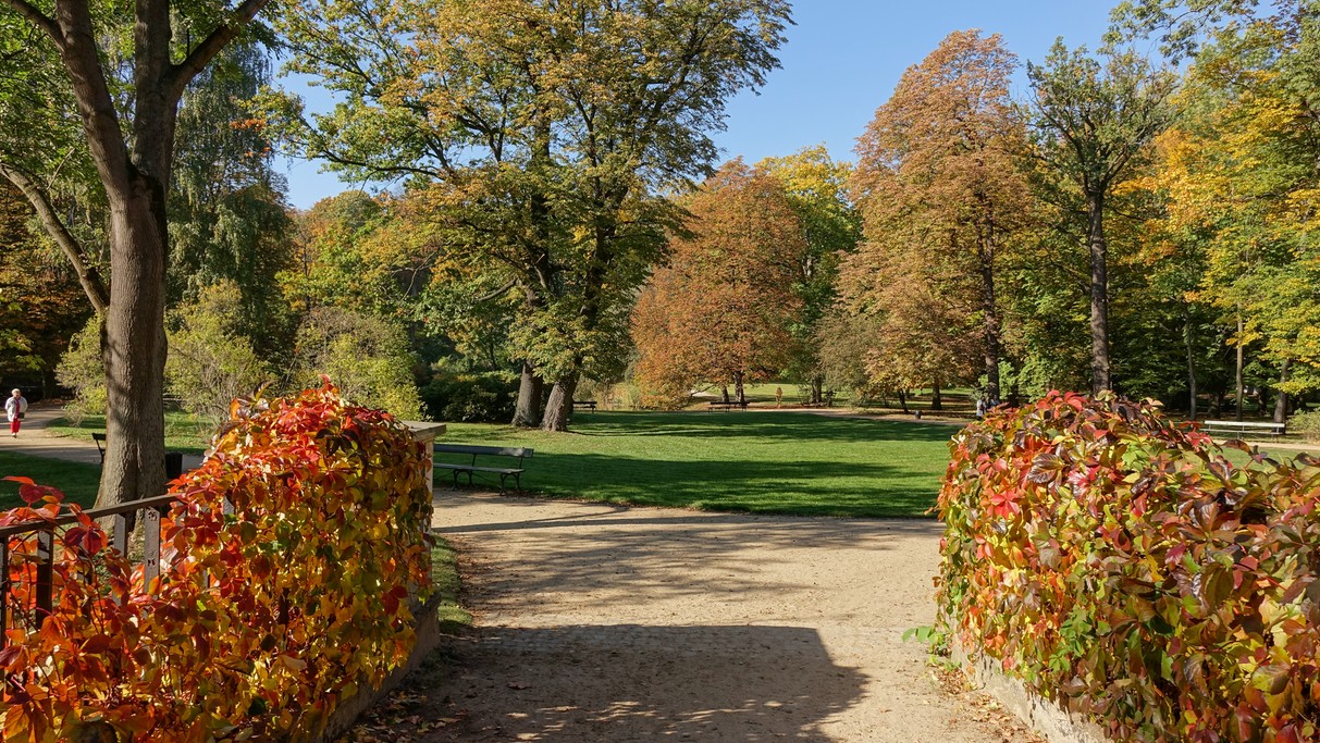 Polskie krajobrazy w 2018 roku - zdjęcie 91