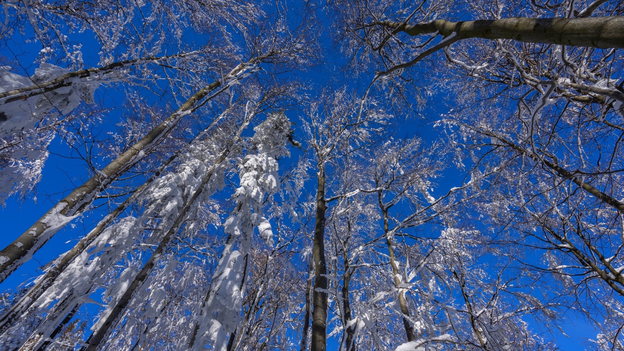 Zima w górach - zdjęcie 46