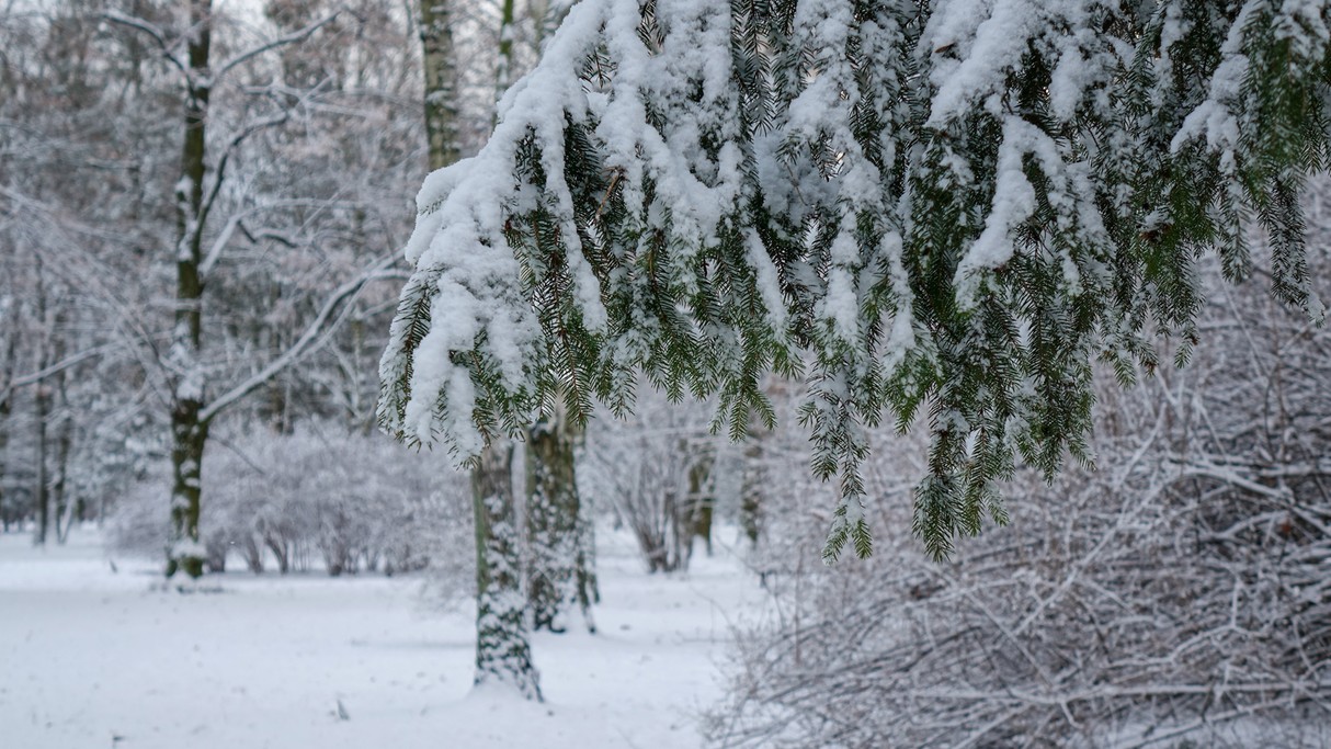 Styczeń w obiektywie - zdjęcie 28