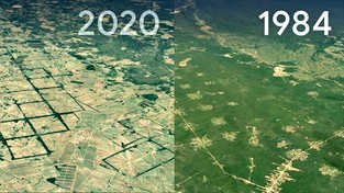 16.04.2021 09:00 Najnowsze zdjęcia satelitarne ujawniają, jak ludzkość zmienia oblicze Ziemi [WIDEO]