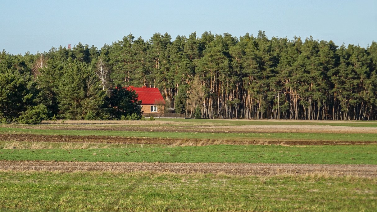 Marzec w obiektywie - zdjęcie 43