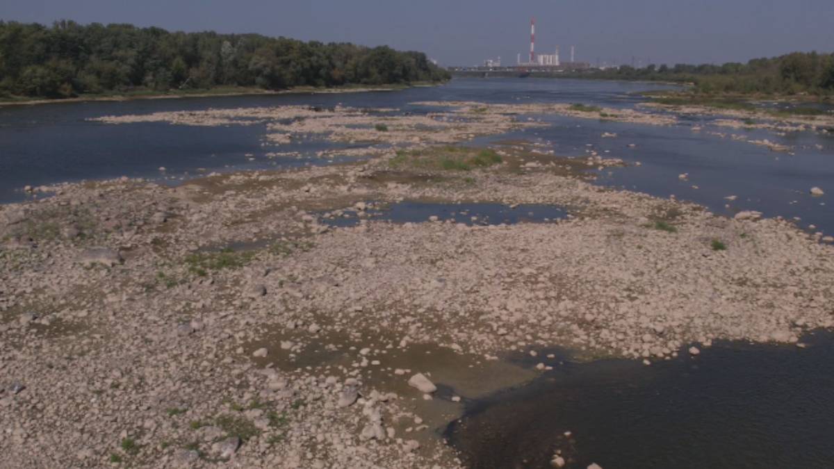 Stan wody w Wiśle jest alarmująco niski. Może paść historyczny rekord