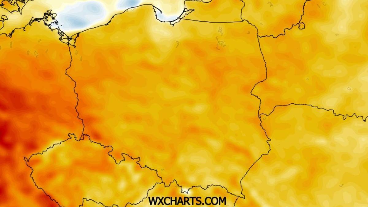 W niedzielę będzie dość ciepło i sucho, temperatury miejscami przekroczą 20 st. C - wynika z prognoz IMGW