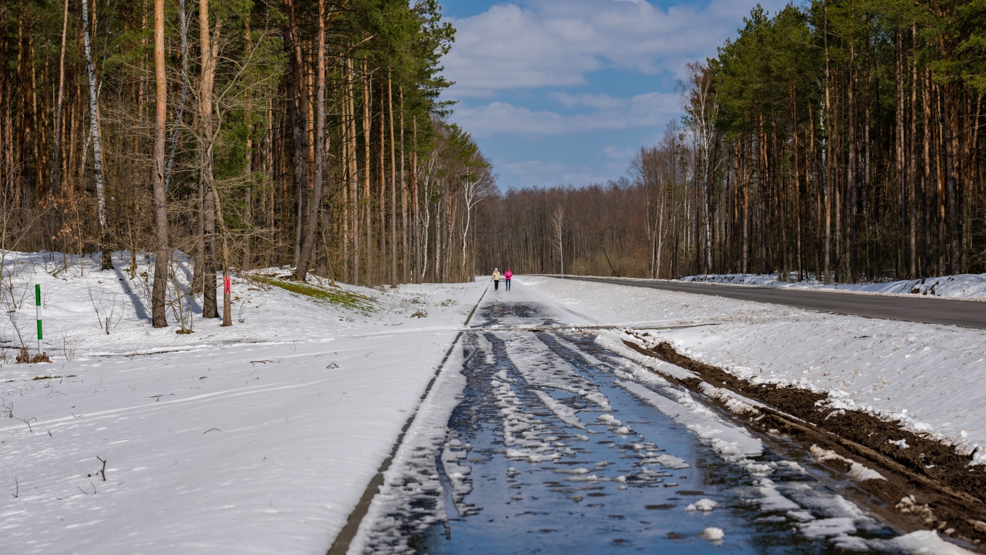 Miejska przyroda - zdjęcie 27