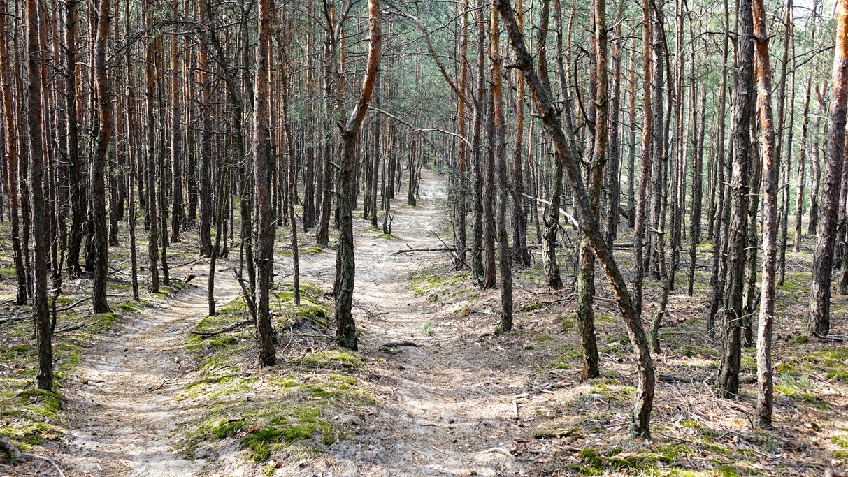 Marzec w obiektywie - zdjęcie 28