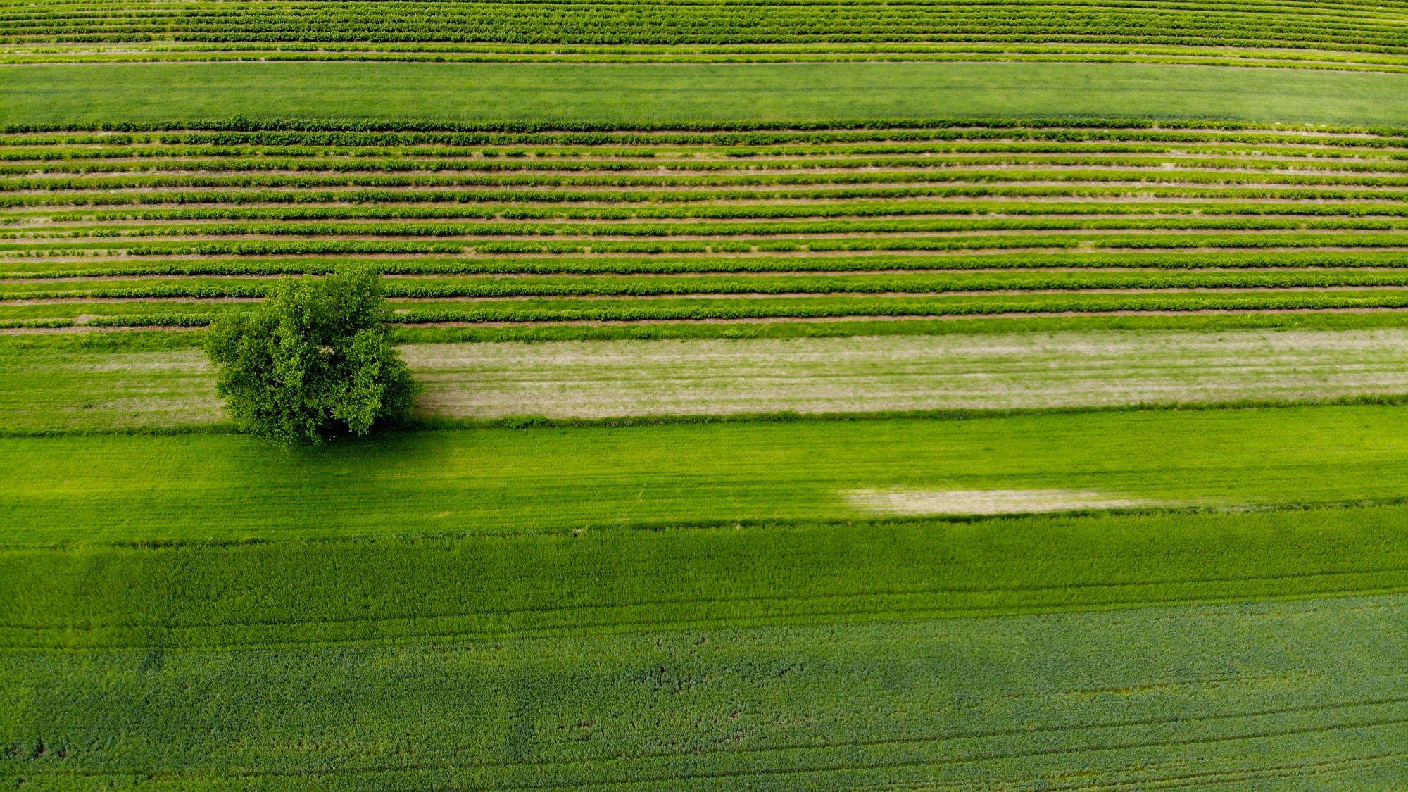 Niesamowita Polska z lotu ptaka - zdjęcie 69