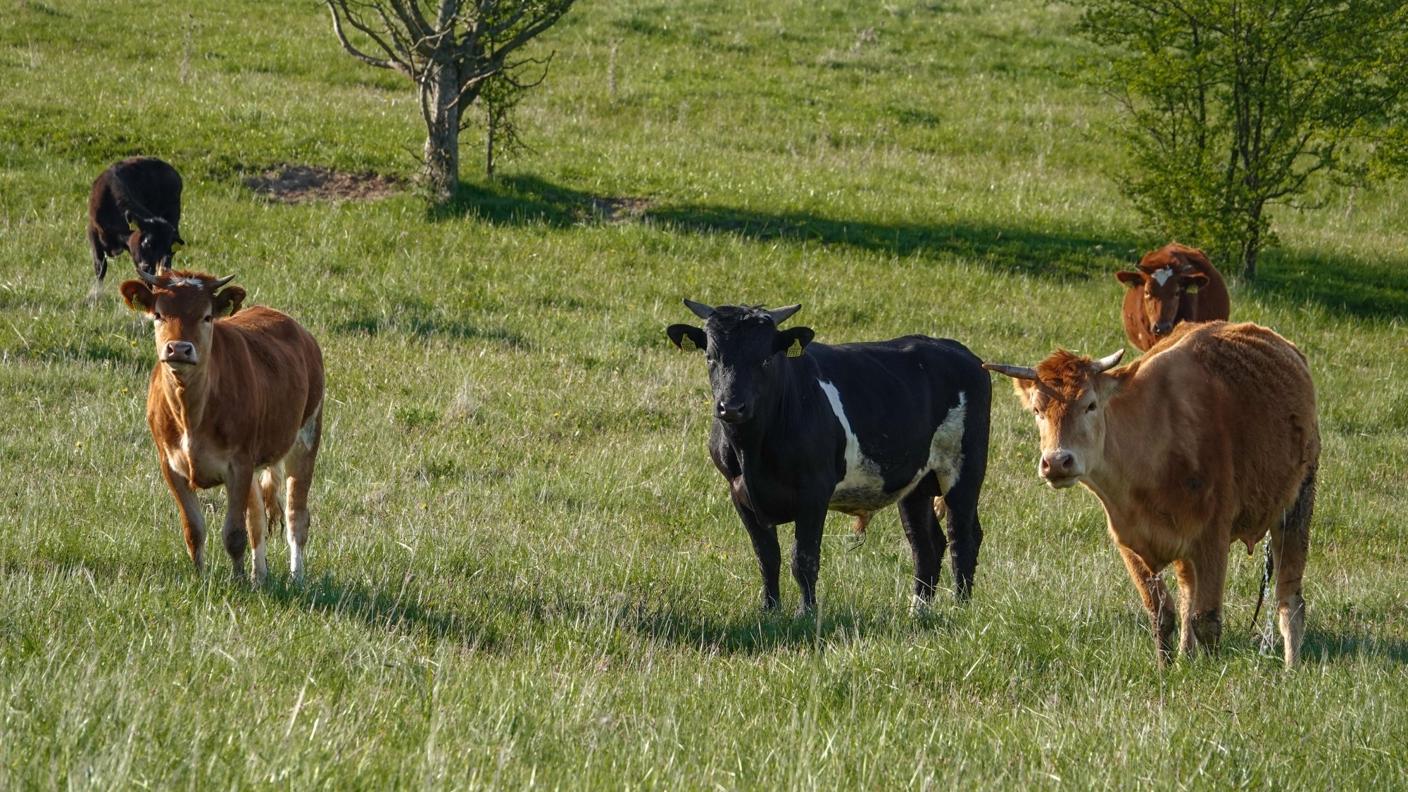 W maju jak w raju - zdjęcie 64