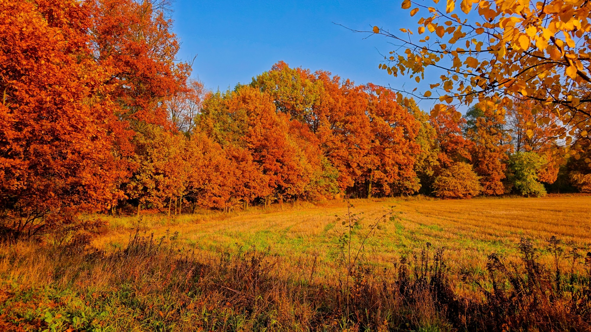 Kraina jesieni - zdjęcie 31