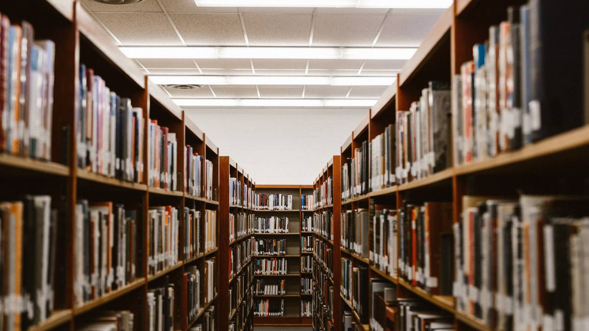 Rekrutacja na studia oraz do liceów. Te kierunki okazały się hitem