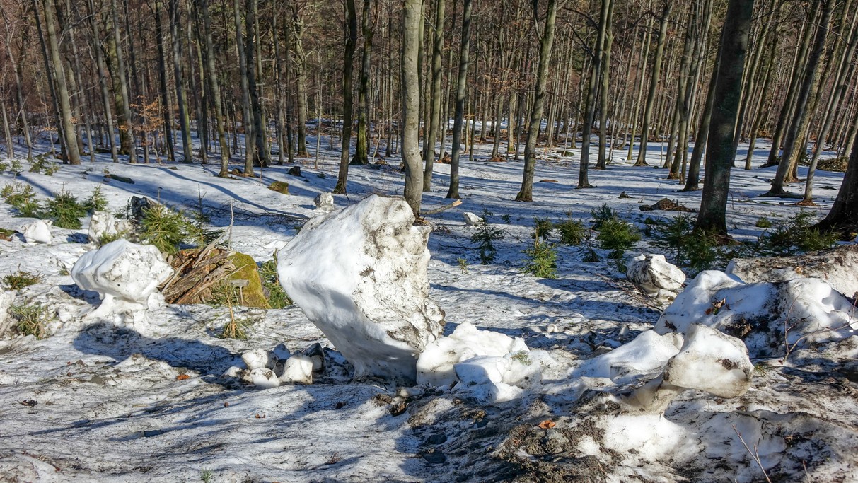 Marzec w obiektywie - zdjęcie 27