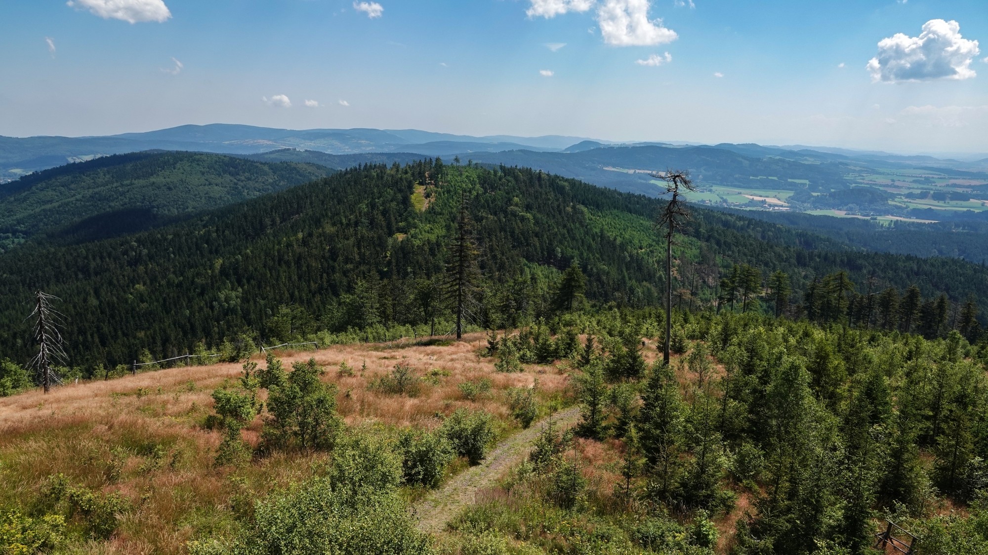 100 najpiękniejszych zdjęć 2020 roku - zdjęcie 76