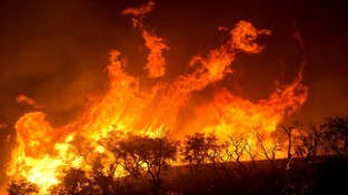 22.04.2020 11:00 Płonie największy park narodowy w Polsce. To ostoja ptaków i łosi. Sprawdź, jak możesz pomóc