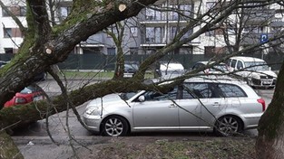 04.02.2022 05:50 Wichura zerwie dachy i wyłączy prąd. Sprawdź, o której godzinie w Twojej miejscowości [MAPY]