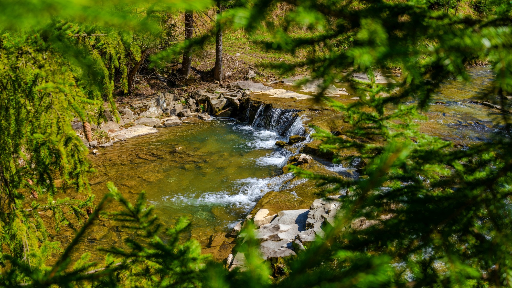 Zachwycający maj - zdjęcie 27