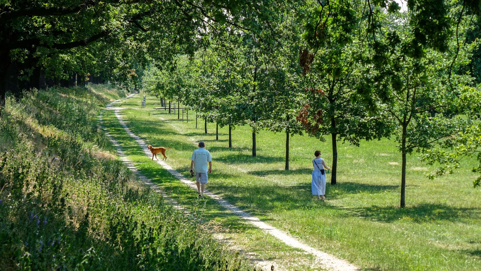 Drogą do raju - zdjęcie 36