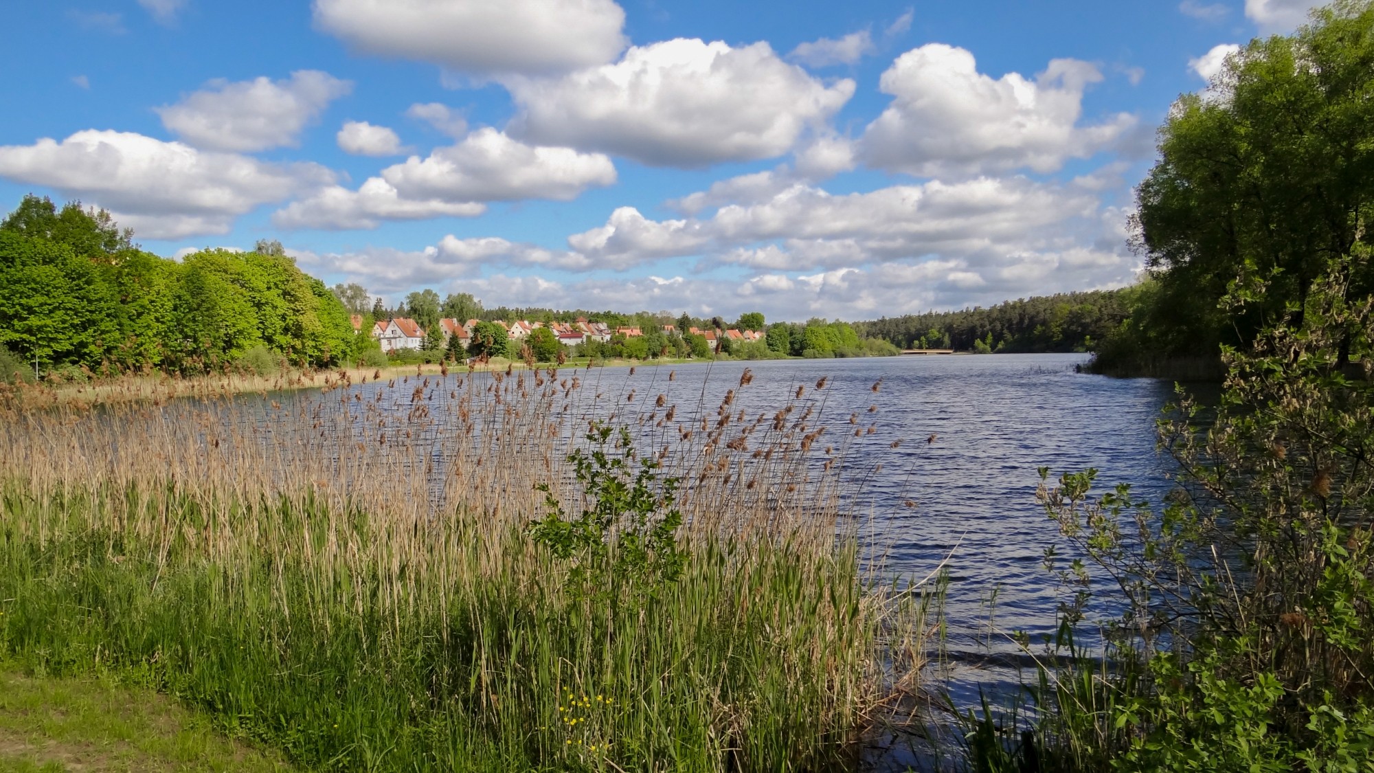Mazury wiosną - zdjęcie 5