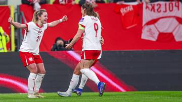 Eliminacje MŚ: Francja - Polska. Relacja live i wynik na żywo